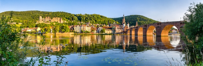 Fragen zum Arbeitsrecht? Einen passenden Anwalt in Heidelberg finden Sie hier.