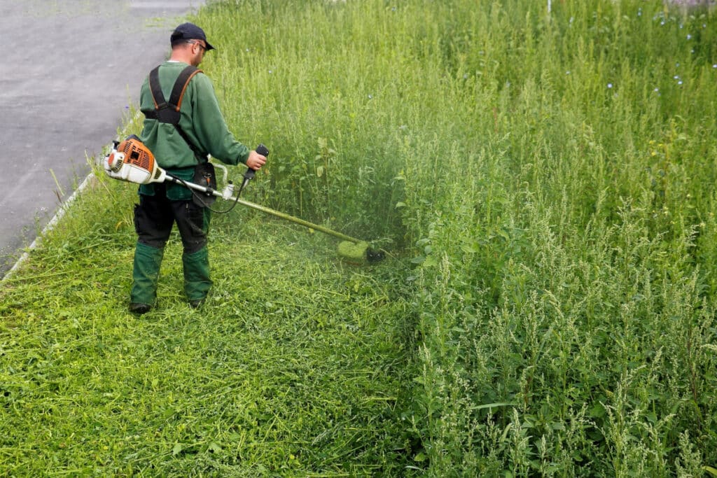 Weniger Abgaben für Geringverdiener: In die Rentenversicherung wird mit reduzierten Beiträgen eingezahlt.