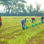 Lohnabhängige mit niedrigem Einkommen sind von Gewalt am Arbeitsplatz häufiger betroffen.