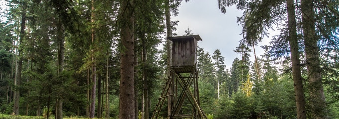 Die IG BAU vertritt unter anderem die Interessen der Beschäftigten in der Forst- und Landwirtschaft.