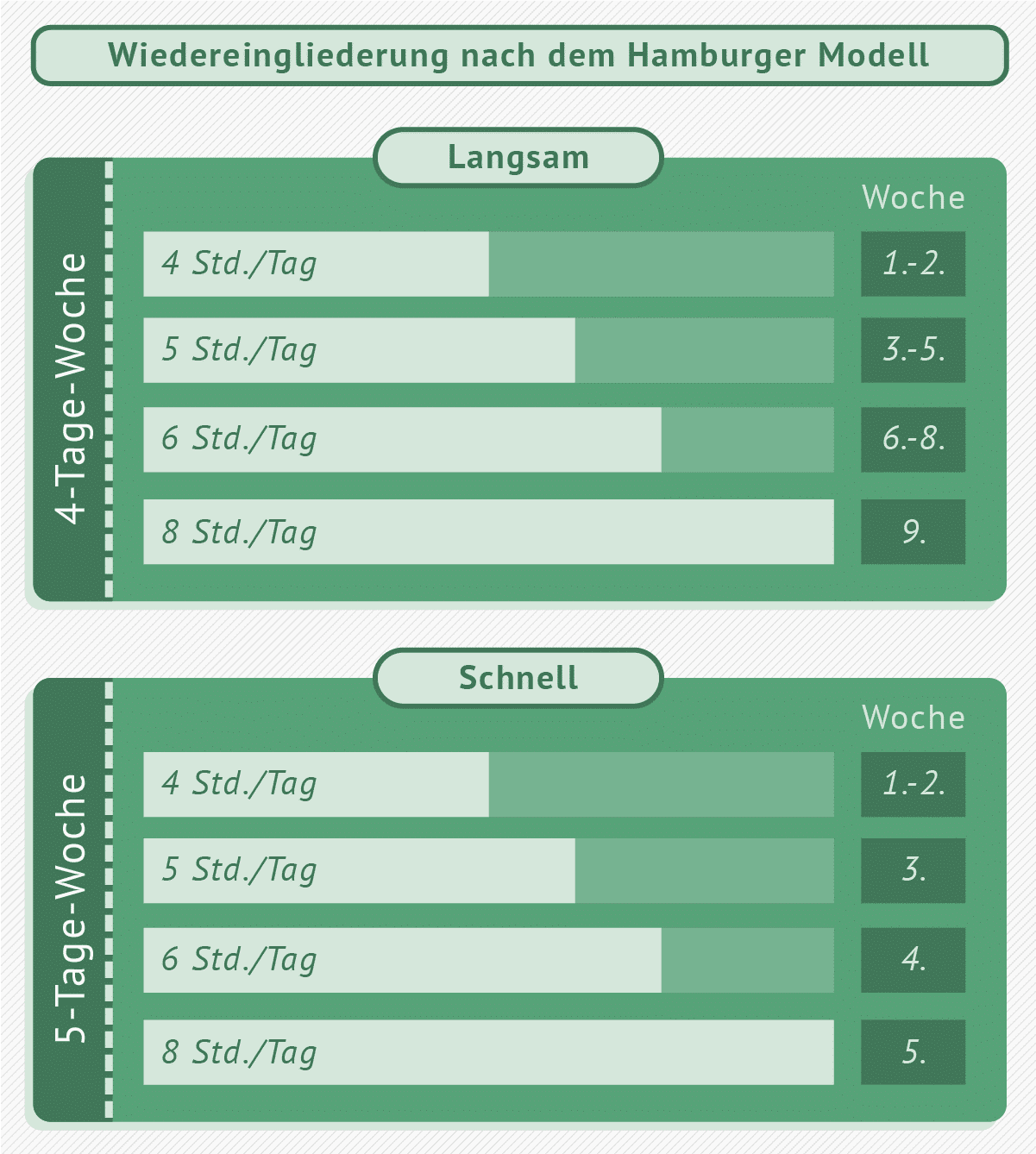 Infografik: Die Möglichkeiten des Hamburger Modells veranschaulicht.